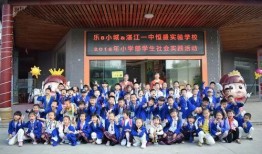 湛江一中最新爆料,揭秘校园风云背后的故事